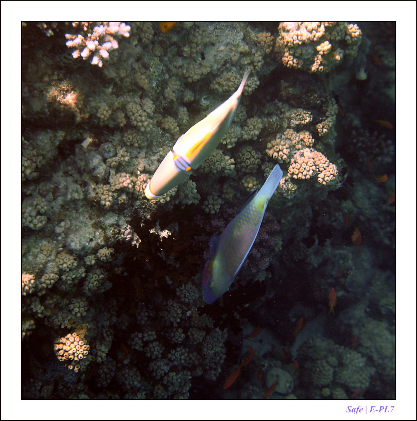 Hurghada - Juillet 2021 - 035